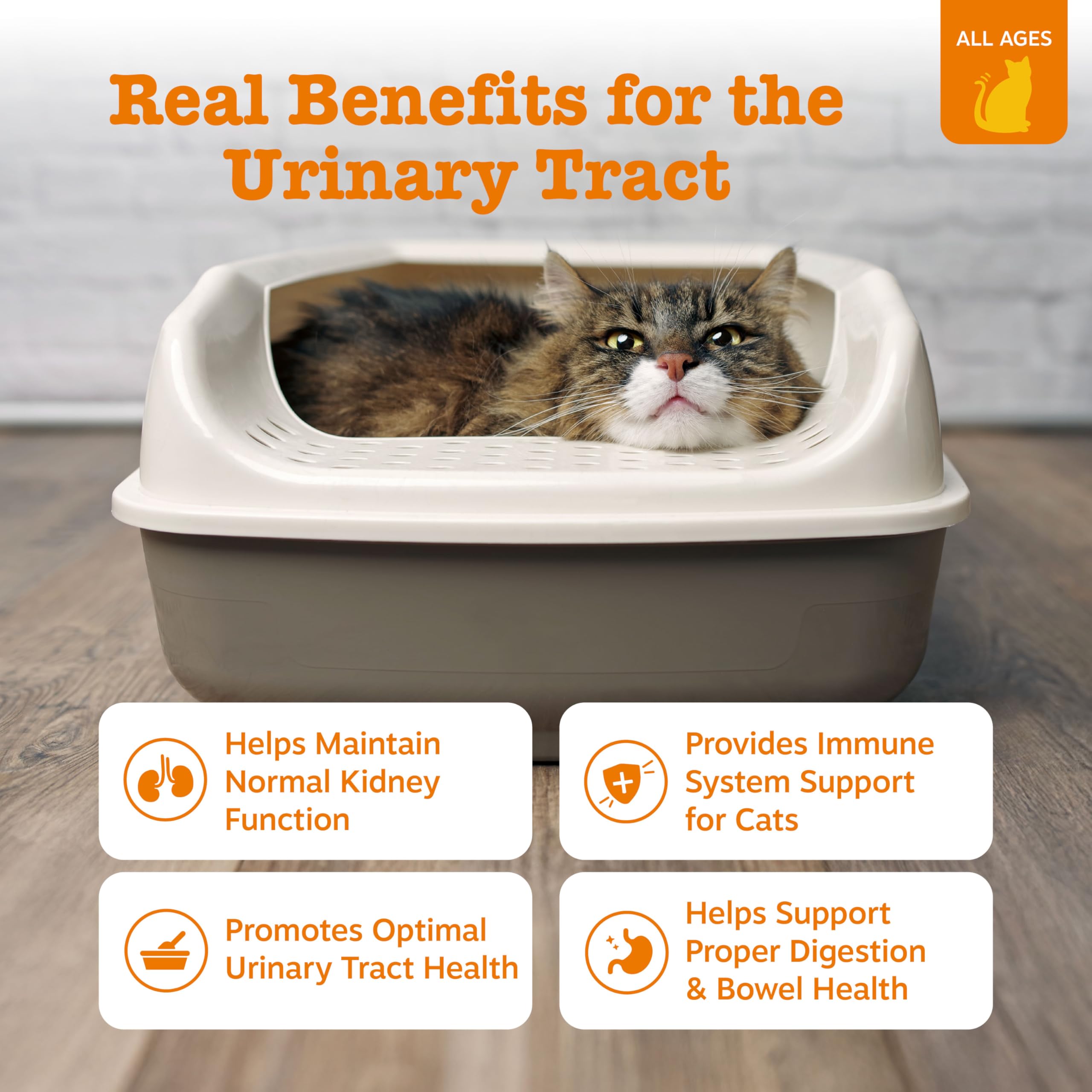 Zesty Paws tube ouvert montrant embout pratique pour administration facile