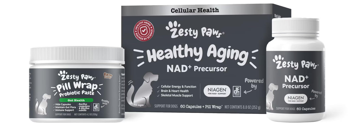 Zesty Paws boîte face montrant l'emballage et l'information dosage pour tranquillité d'esprit