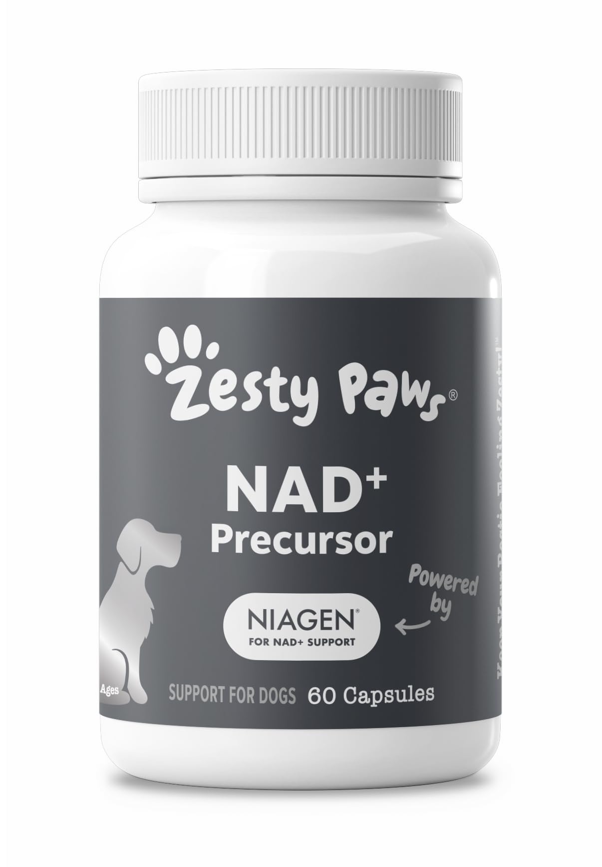Zesty Paws mise en scène intérieure montrant intégration dans la routine quotidienne du chien