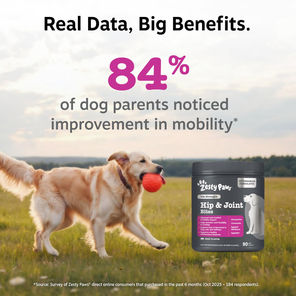 Zesty Paws pot ouvert montrant 90 masticables, bénéfice quantité pratique