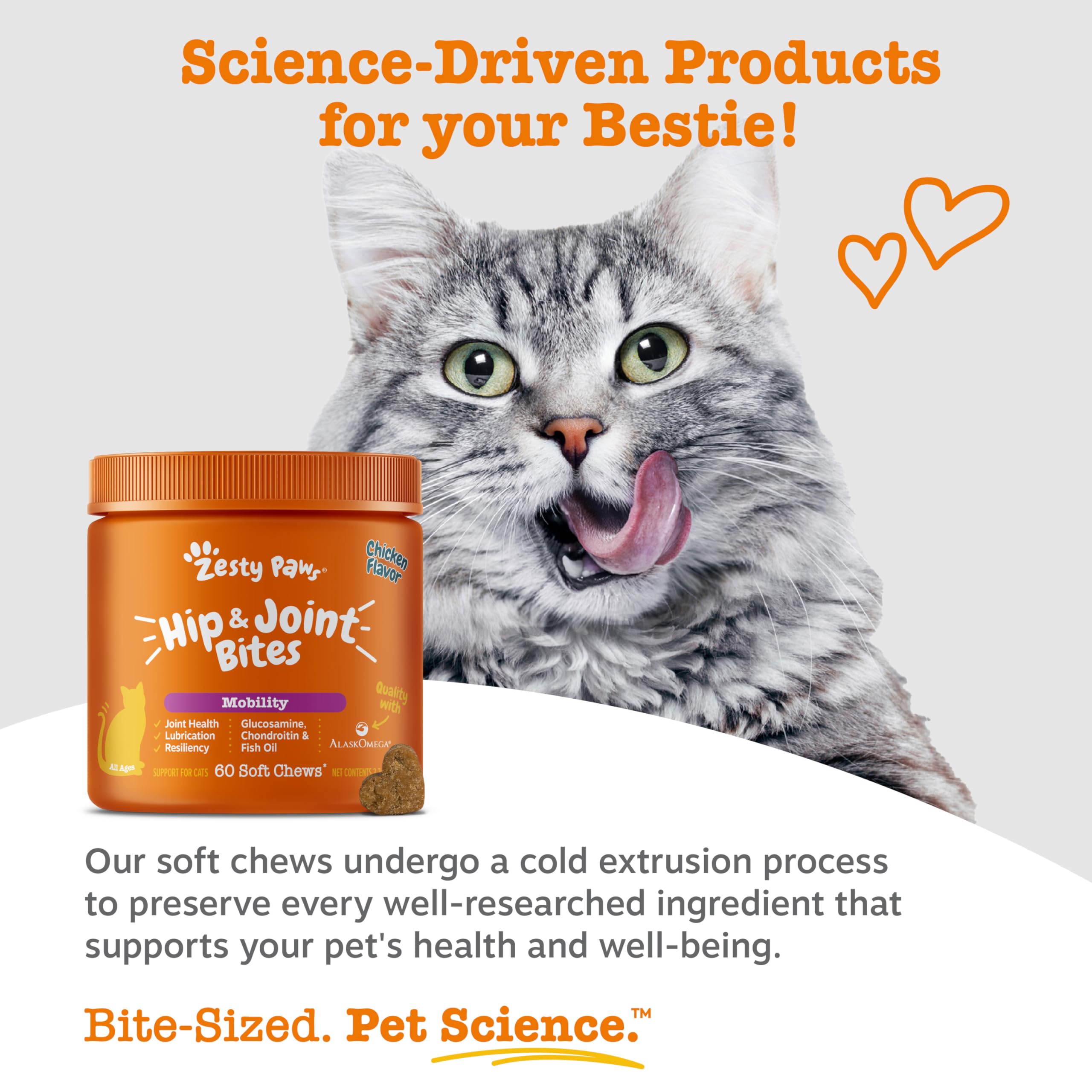 Zesty Paws extrait curcuma en poudre zoom pour soutien naturel
