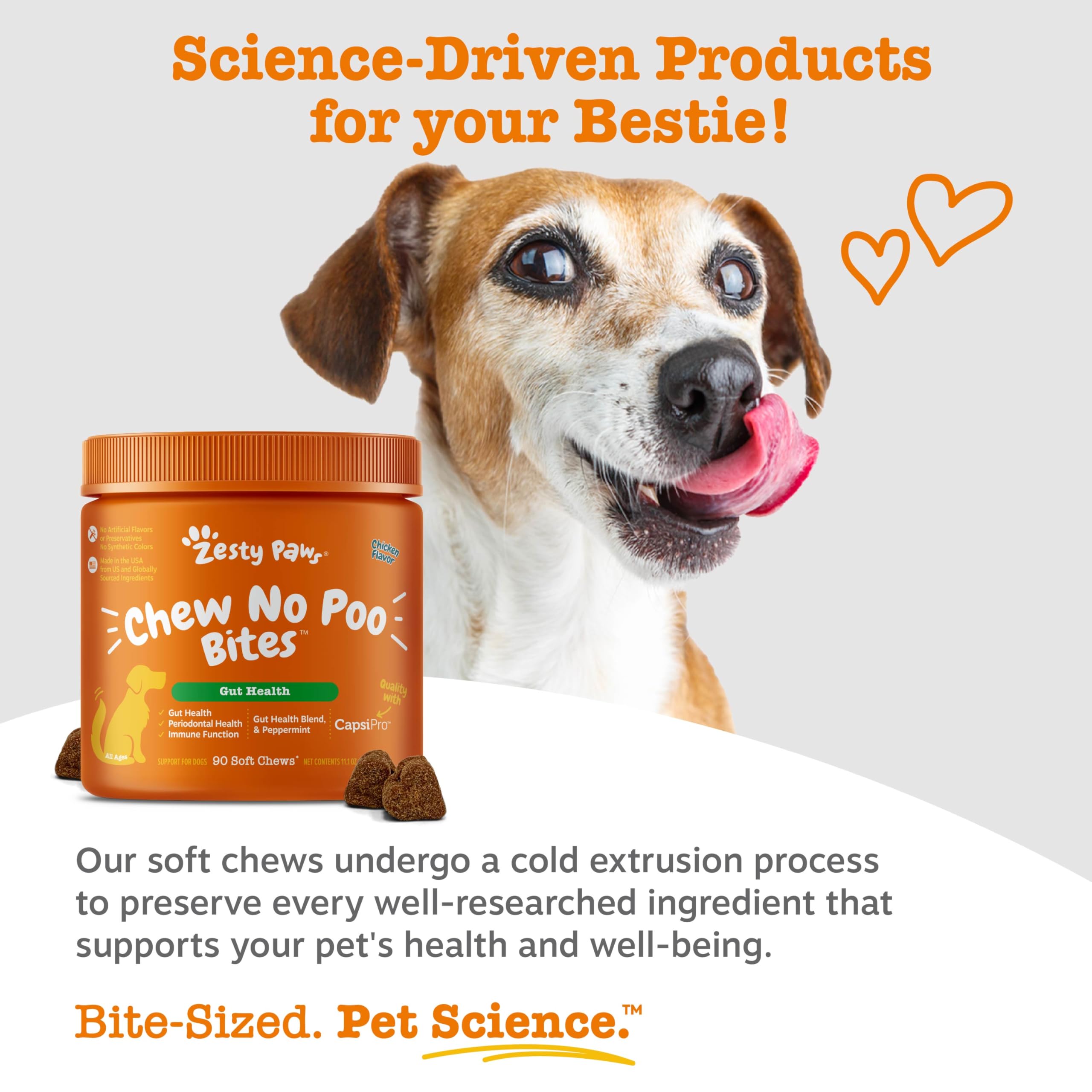 Zesty Paws représentation des probiotiques soutenant la santé intestinale