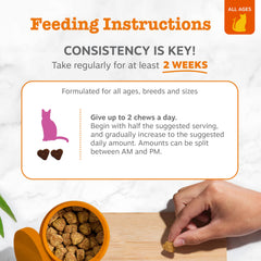 Zesty Paws étiquette ingrédients montrant glucosamine et chondroïtine