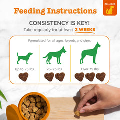 Zesty Paws tableau d'ingrédients mettant en valeur probiotiques et enzymes
