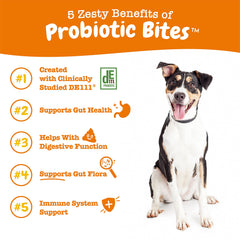 Zesty Paws étiquette détaillée affichant les souches probiotiques et bénéfices clairs
