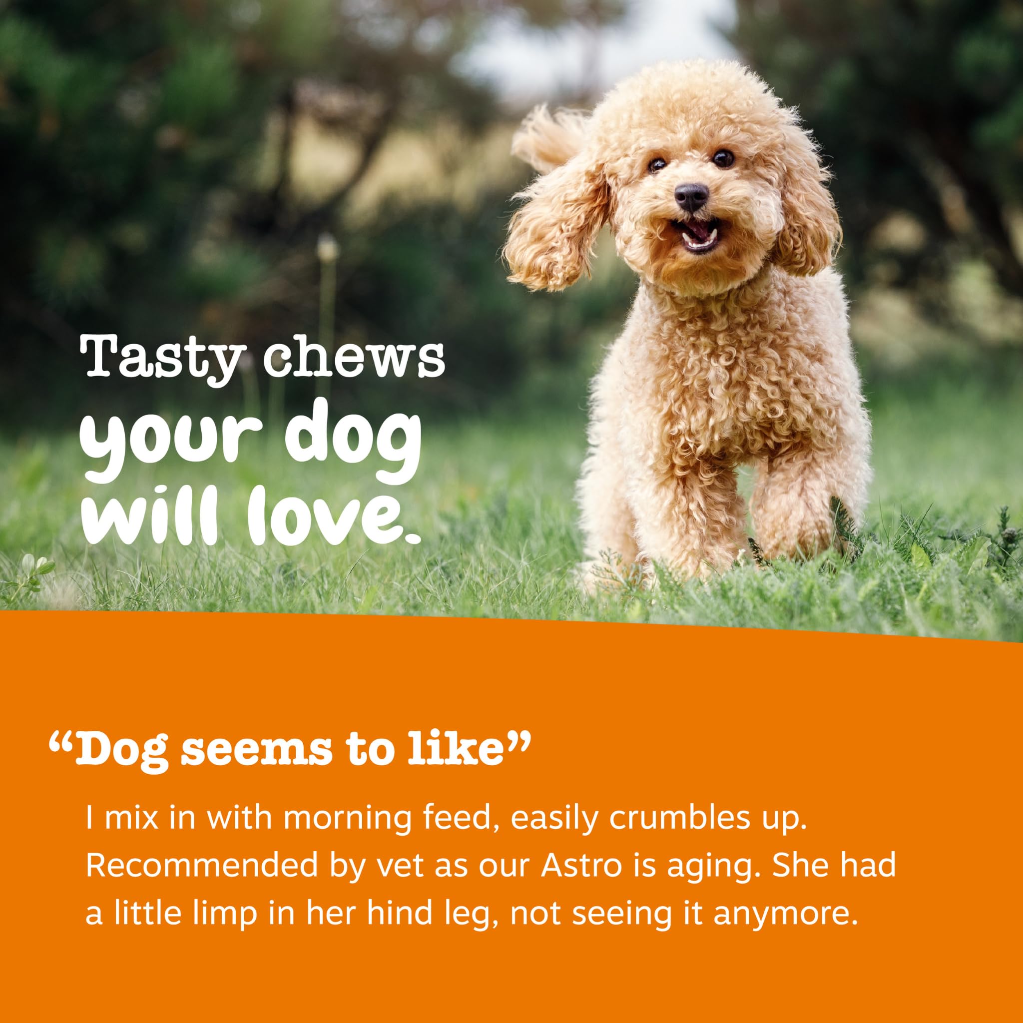 Zesty Paws ingrédients bio présentés : curcuma, huile de coco et BioPerine