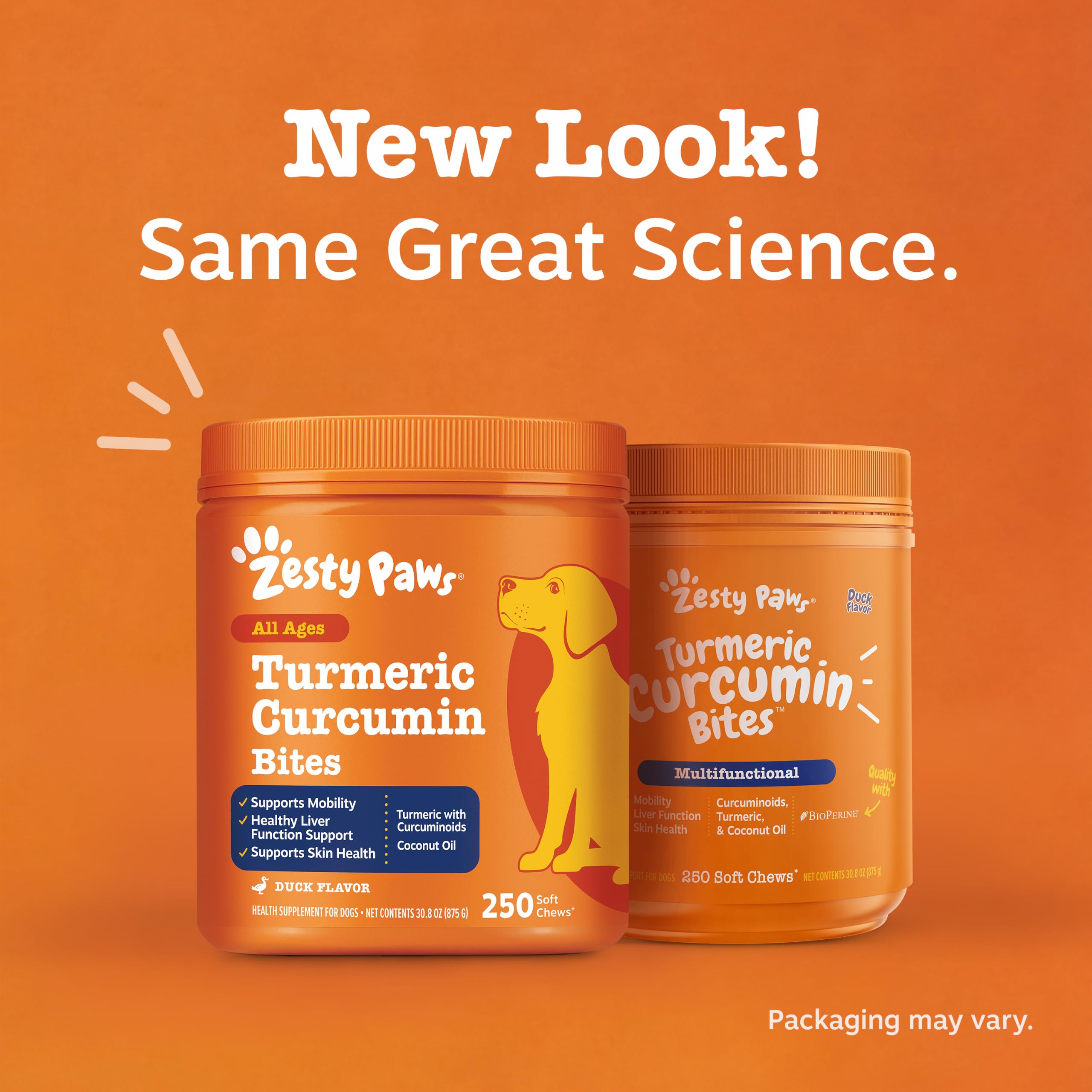 Zesty Paws scène de vie avec chien actif après supplément pour soutien quotidien