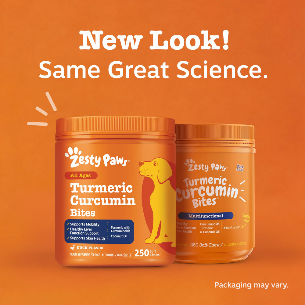 Zesty Paws scène de vie avec chien actif après supplément pour soutien quotidien