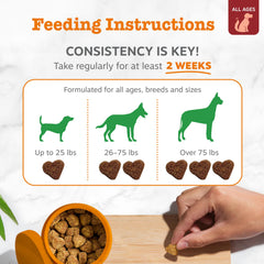Zesty Paws usage en main illustrant portionnement facile et friandise pratique