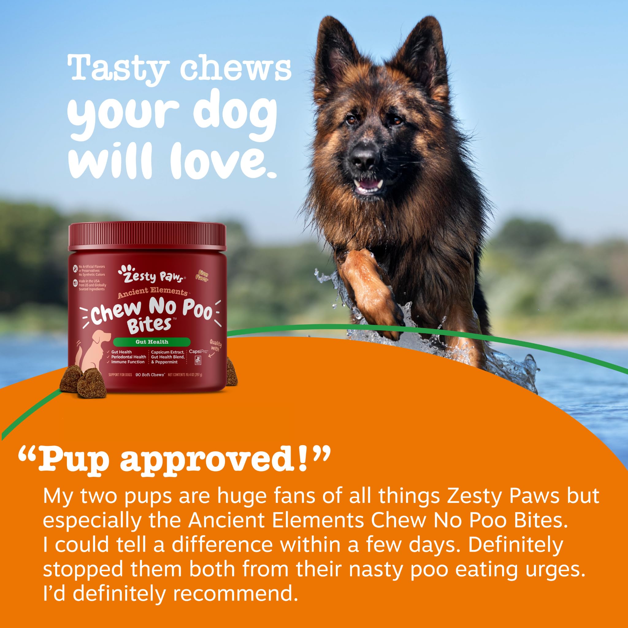 Zesty Paws zoom ingrédients montrant grains anciens et actifs fonctionnels