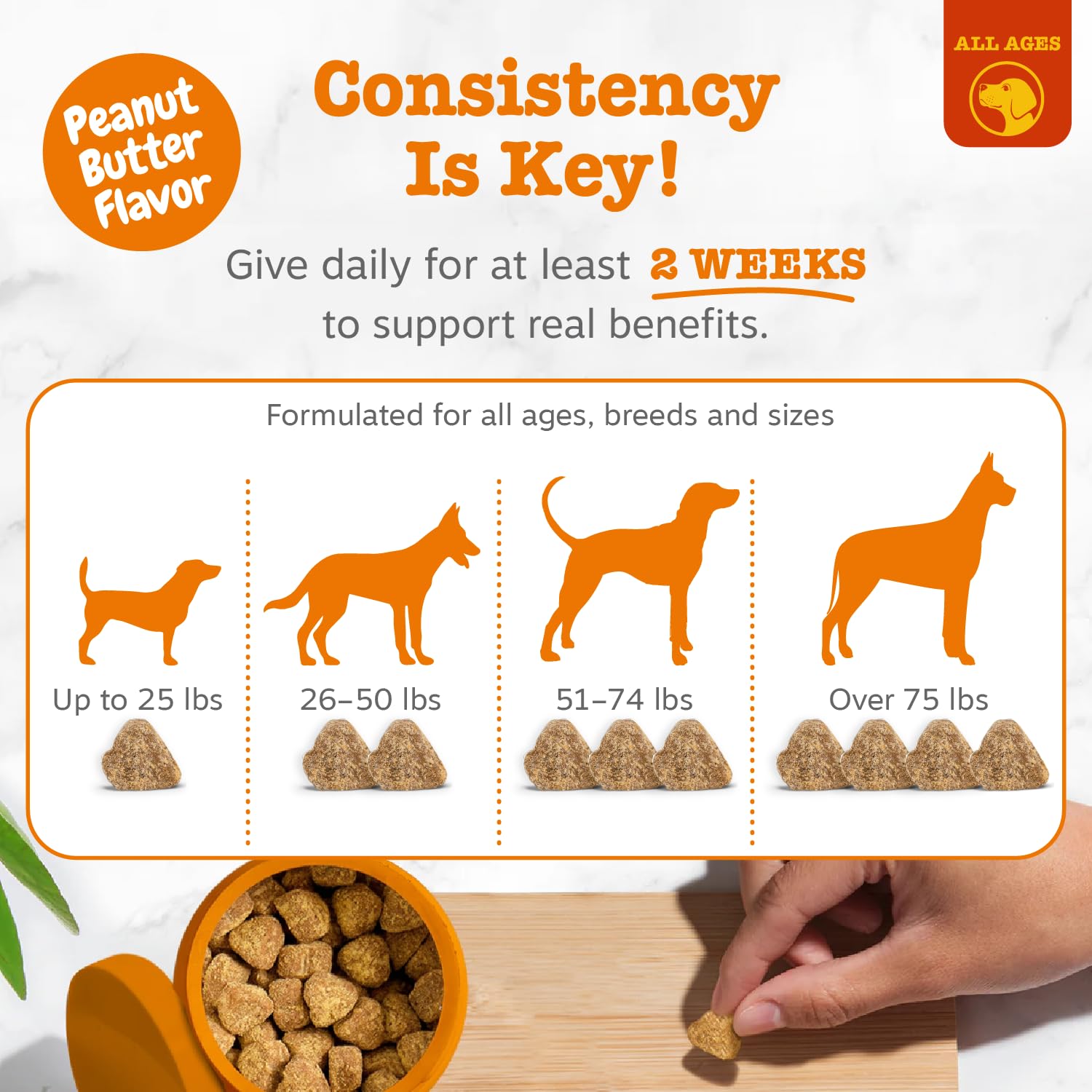 Zesty Paws EpiCor Pets fermenté, soutien immunitaire naturel