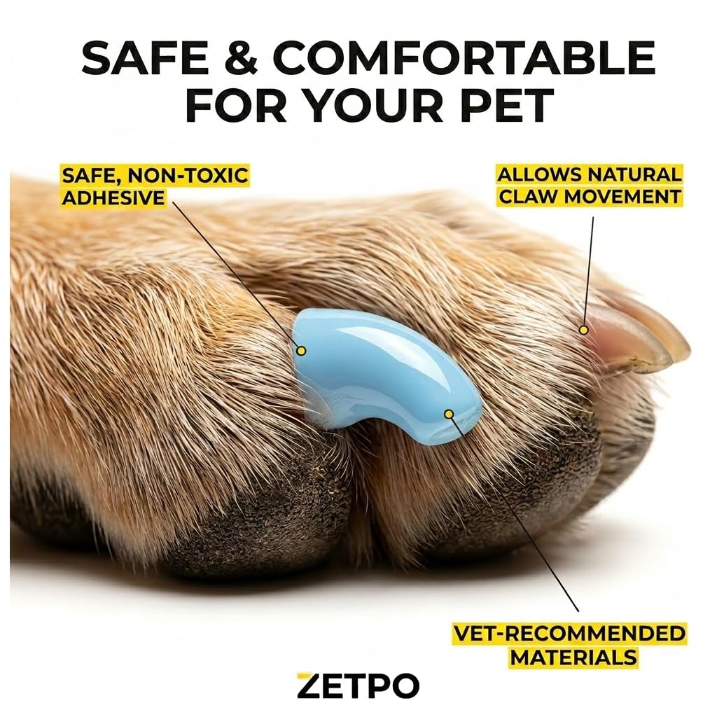 zetpo comparaison taille capsule et ongle pour choix S adapté aux petites griffes