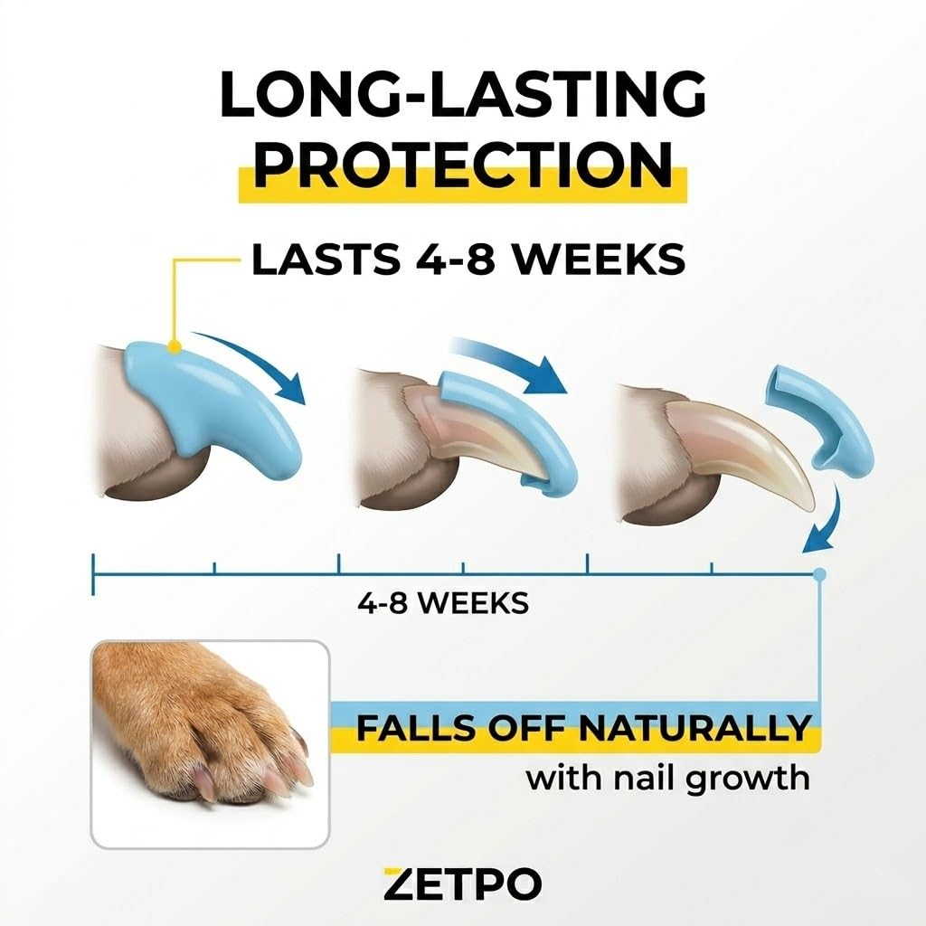 zetpo capsules de couleurs vives facilitant tri et remplacement rapide