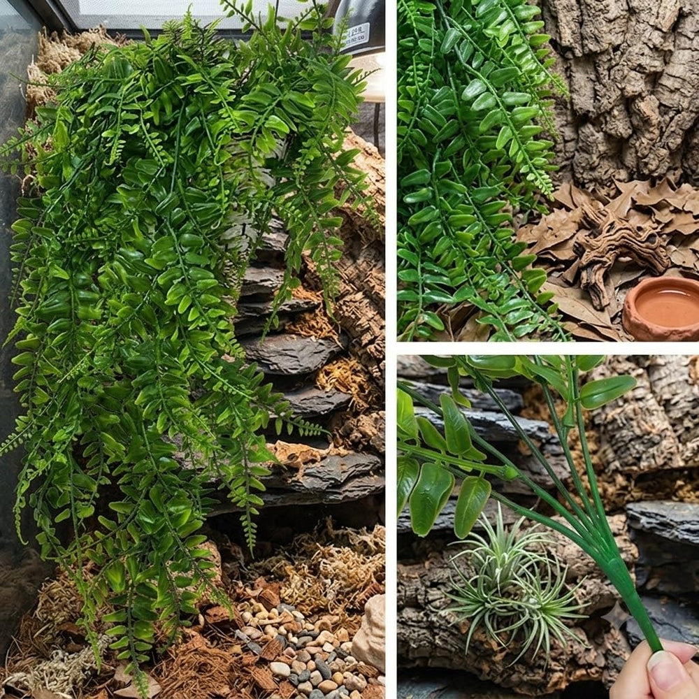 ZEVQEL décor installé dans terrarium montrant profondeur visuelle et cachettes