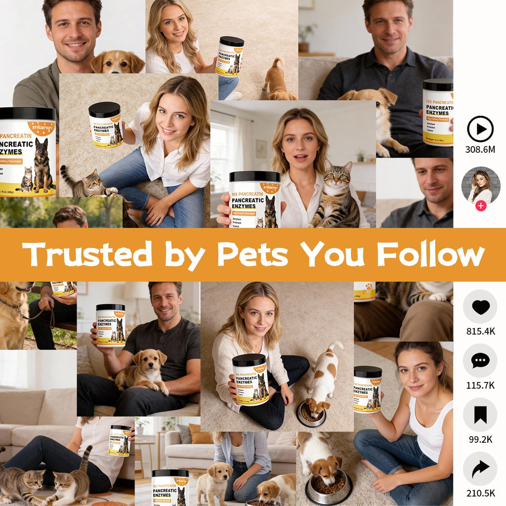 Zhibenon lifestyle chien énergique après repas mieux digéré