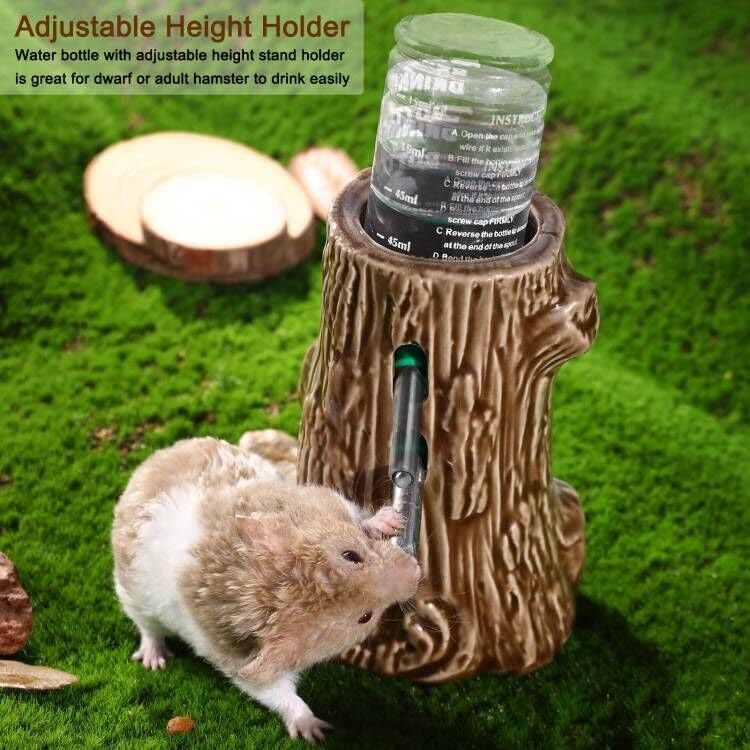 Zhilishu comparaison taille avec hamster montrant proportions et adaptation