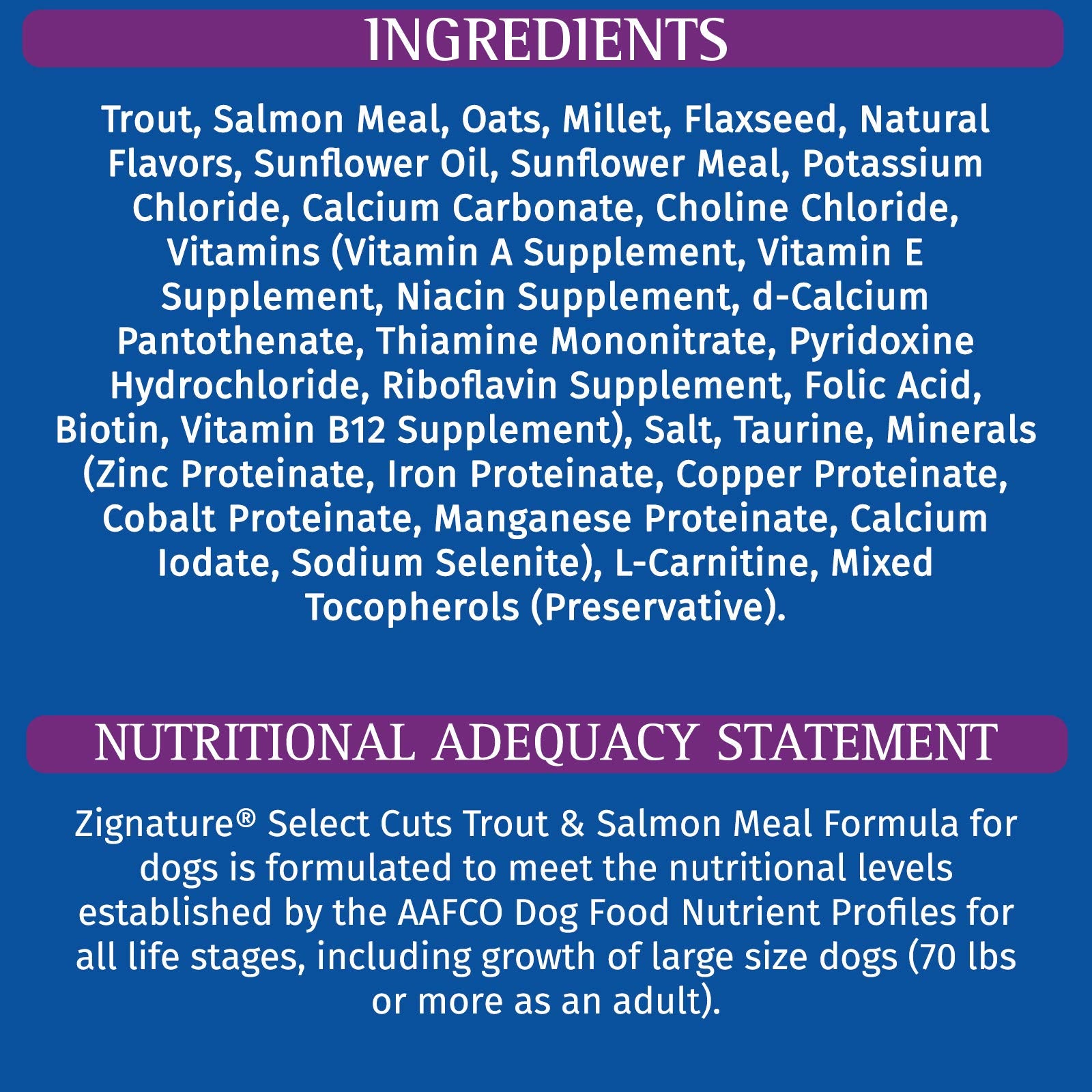 Zignature bol servi en cuisine illustrant présentation pratique et appétence