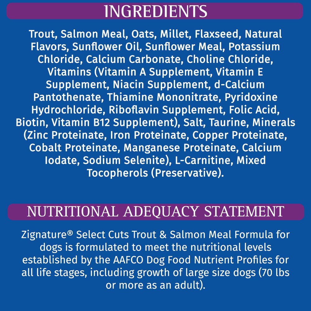 Zignature bol servi en cuisine illustrant présentation pratique et appétence