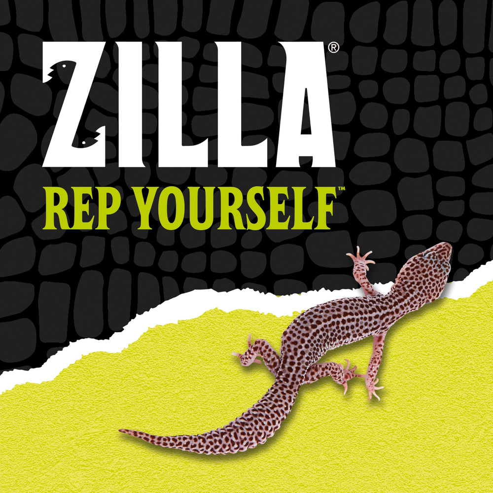 Zilla démonstration nettoyage simple savon doux et rinçage