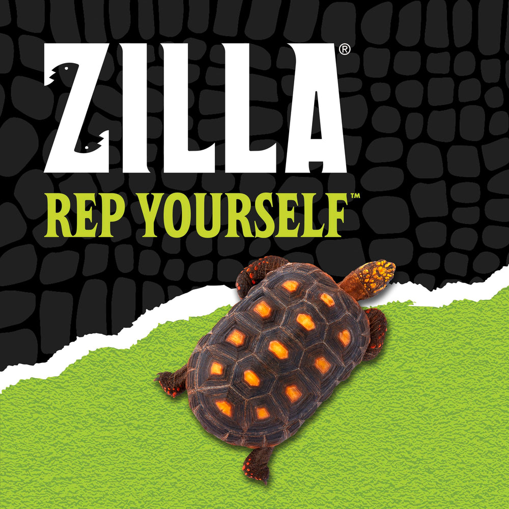 Zilla écorce entourée de plantes décoratives pour réalisme biotope