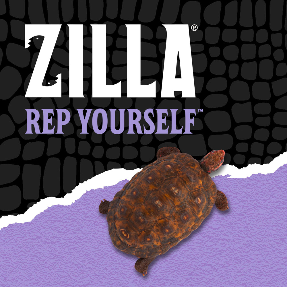 Zilla comparaison d'échelle montre taille du sachet pour portionnement