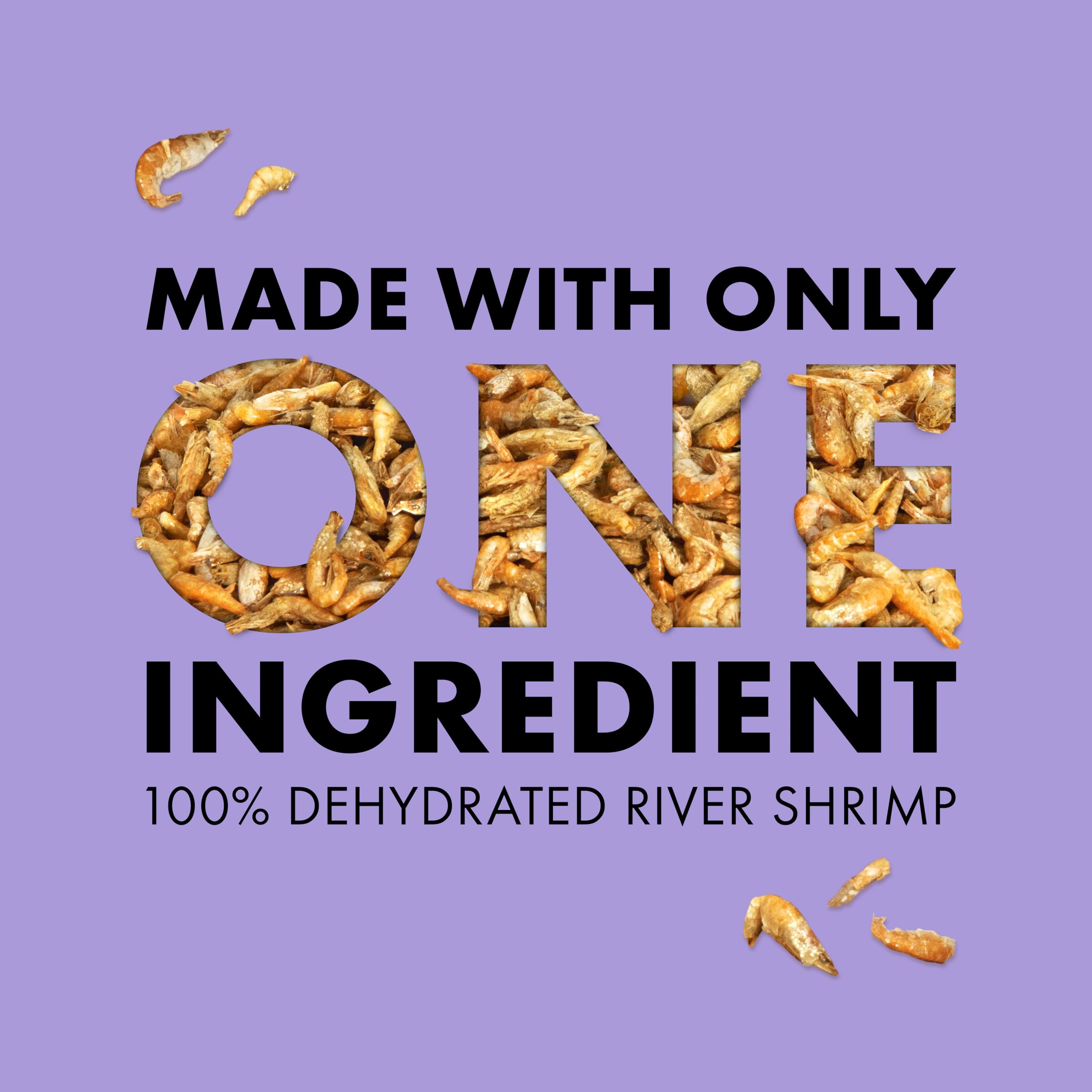 Zilla crevettes dans aquarium axolotl pour appétence et alimentation