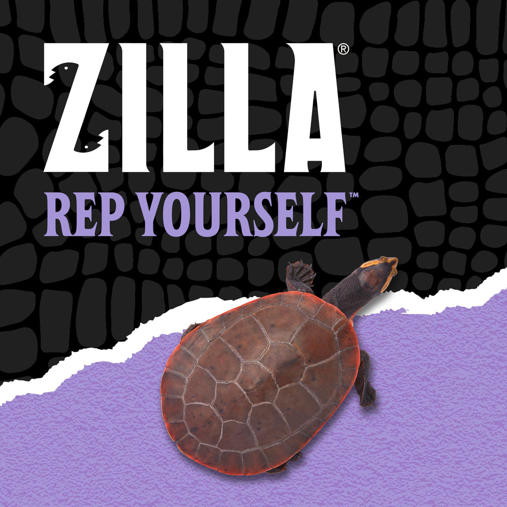 Zilla étiquette valeurs nutritionnelles lisible sans additifs