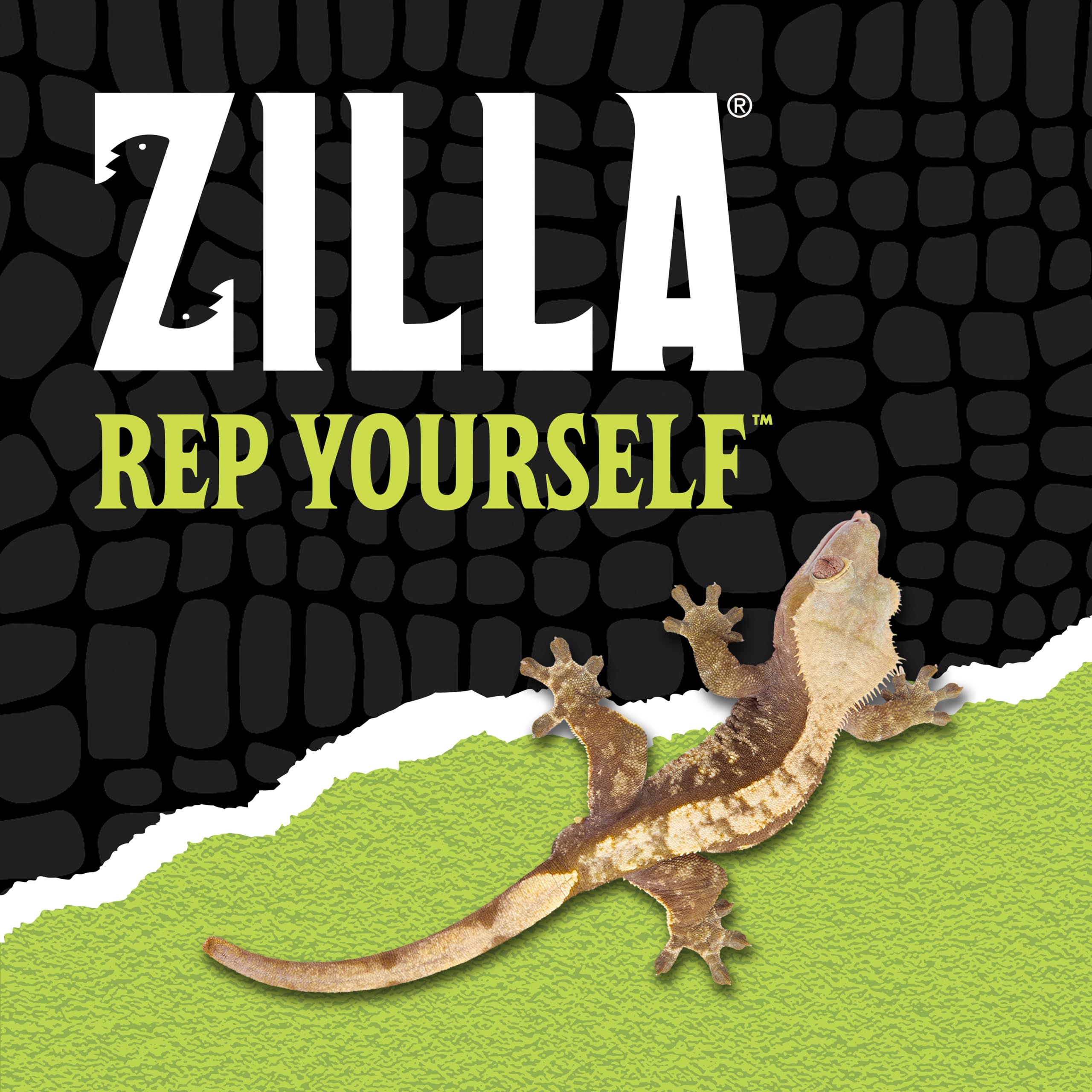 Zilla Jungle Mix au-dessus d'une couche de drainage, prévient la saturation et l'engorgement