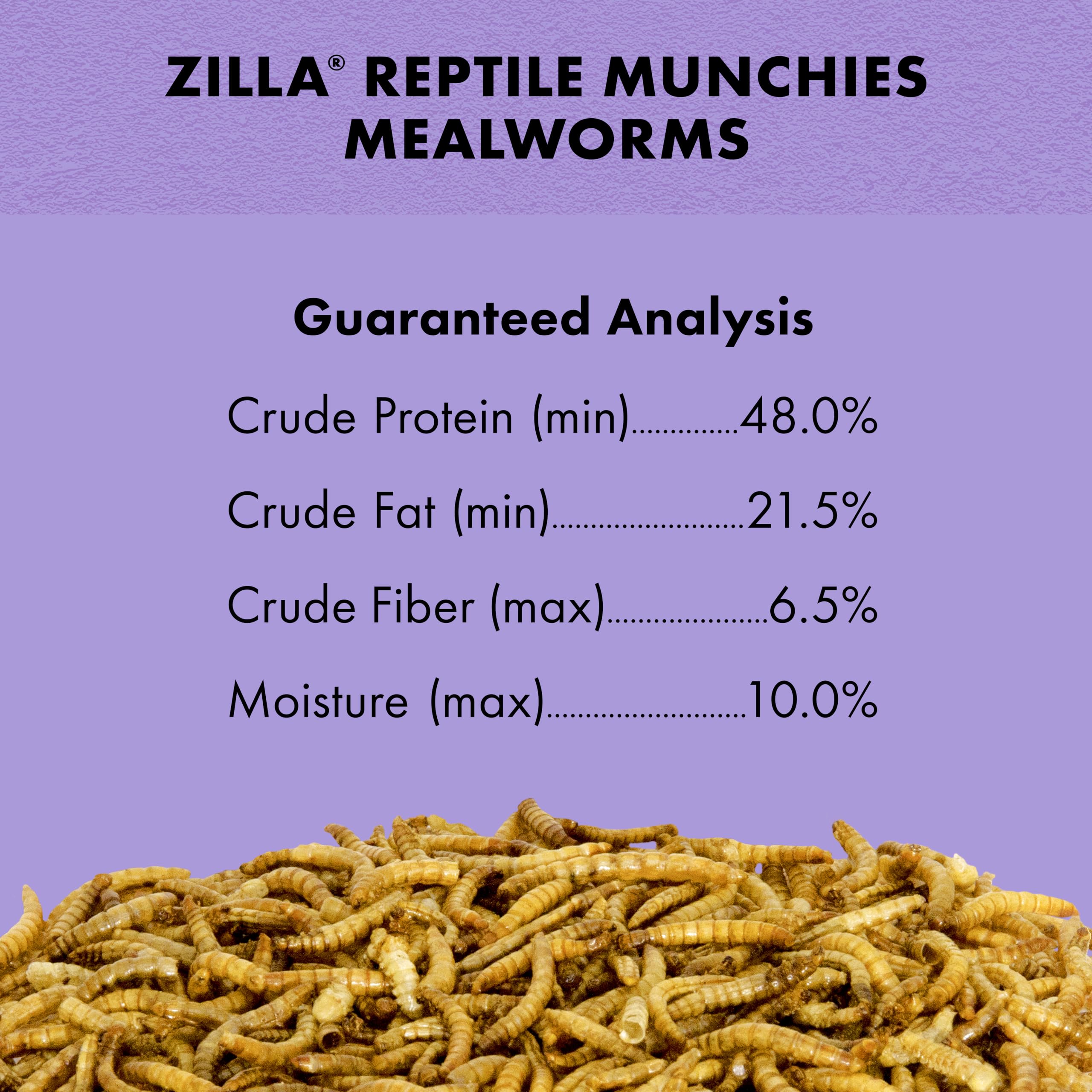 Comparaison d'échelle Zilla mealworms à côté d'une pièce, montre la taille