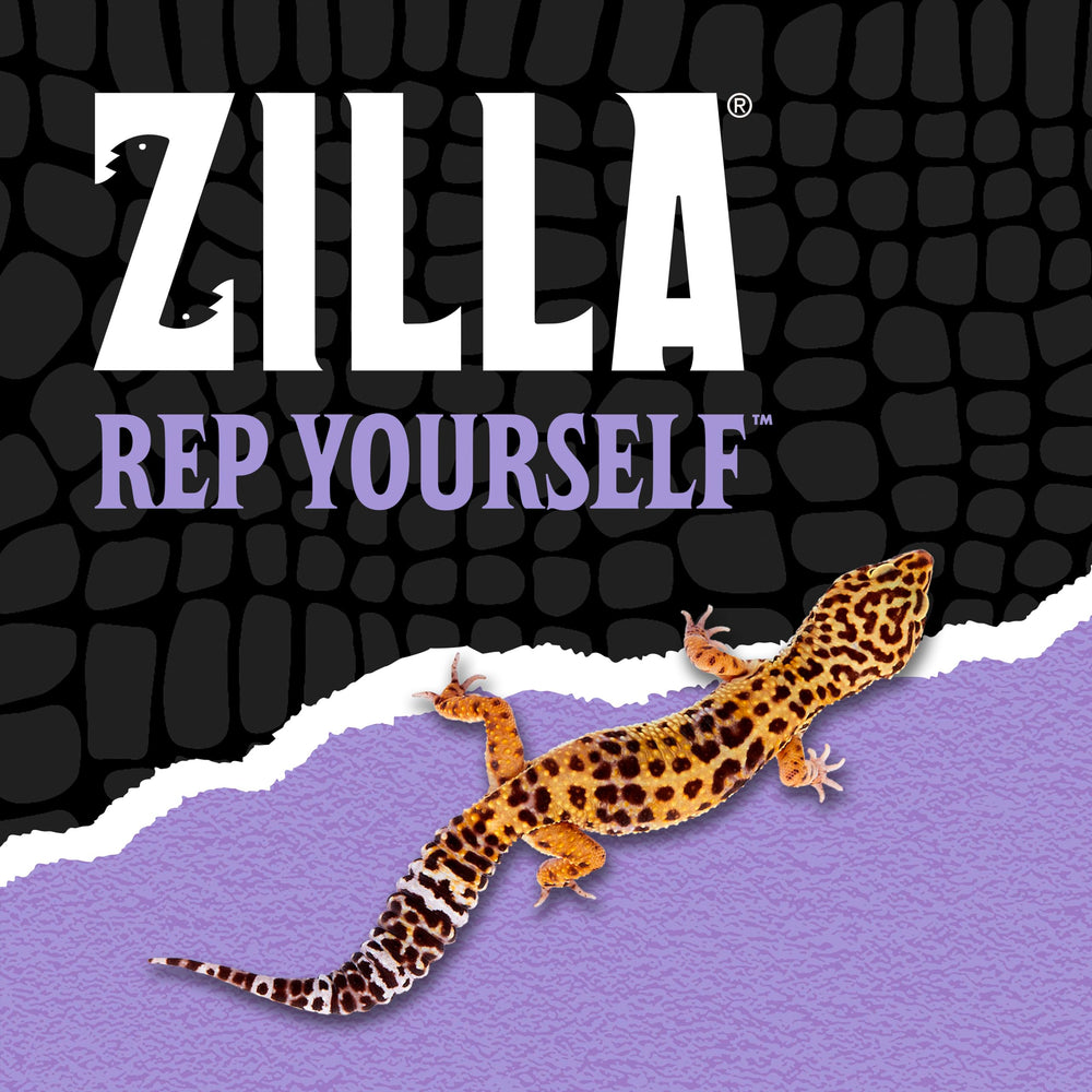 Image du mode d'emploi Zilla montrant dosage et préparation rapide
