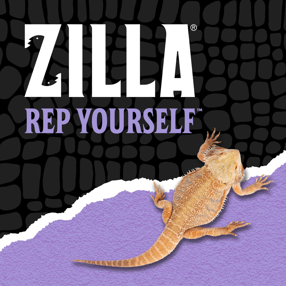 Zilla scène lifestyle montrant un reptile consommant la collation enrichie en calcium