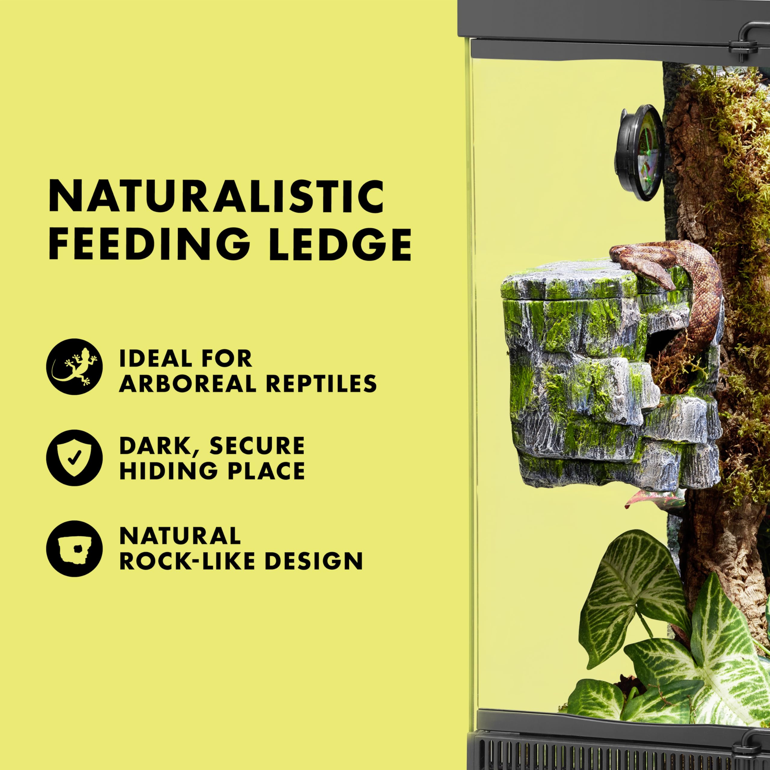 Zilla Rock Cave installé dans terrarium pour gecko montrant utilité