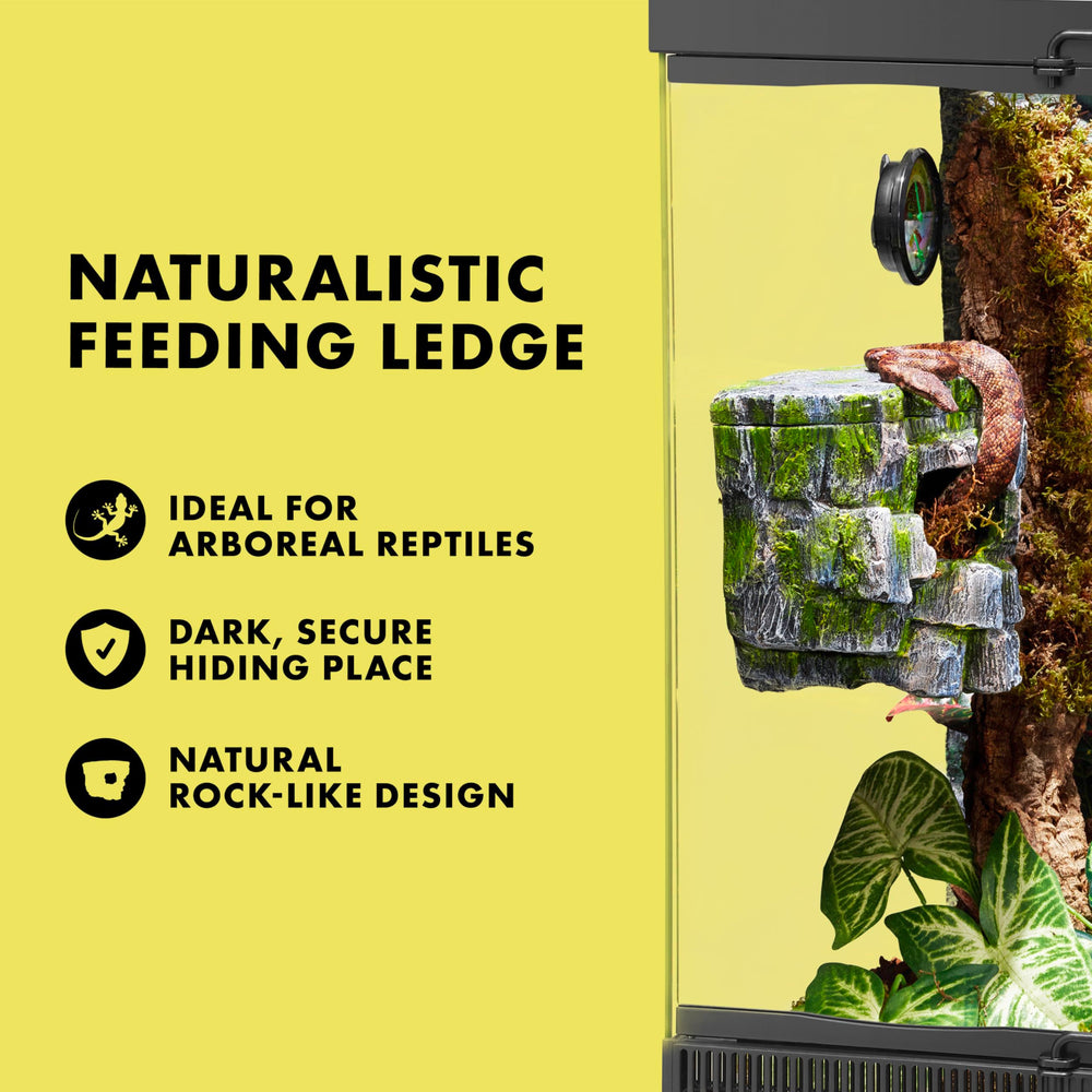 Zilla Rock Cave installé dans terrarium pour gecko montrant utilité