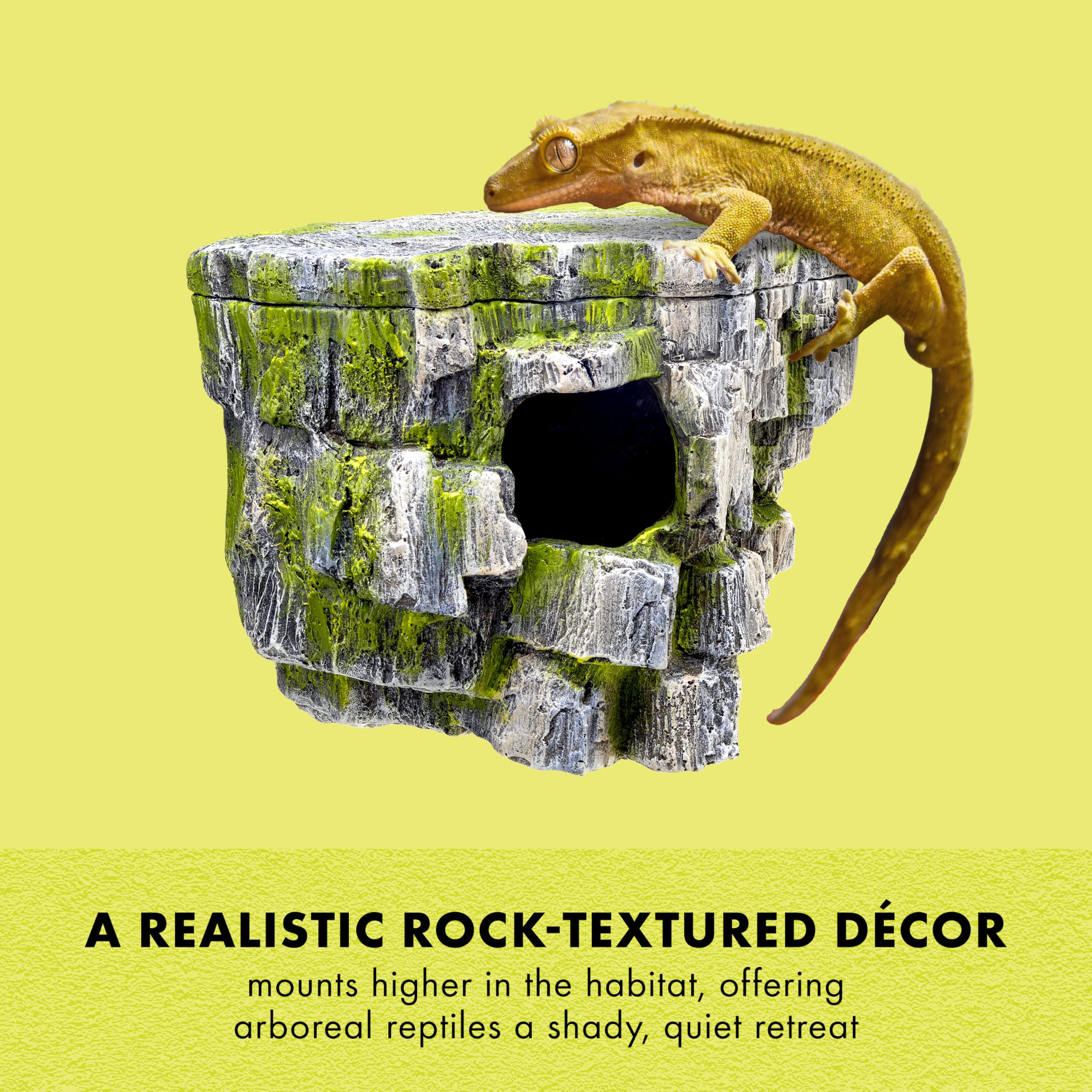 Zilla Rock Cave ventouses solides assurant fixation stable sur verre