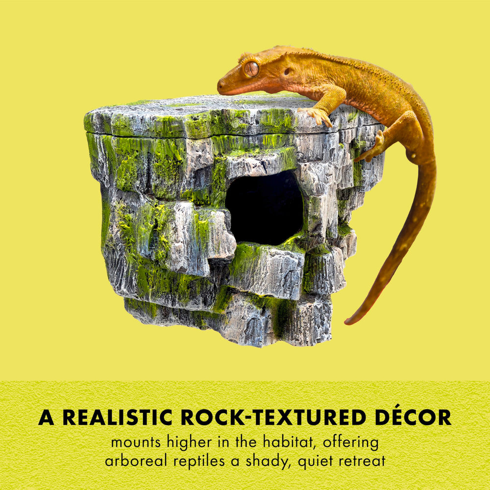 Zilla Rock Cave ventouses solides assurant fixation stable sur verre
