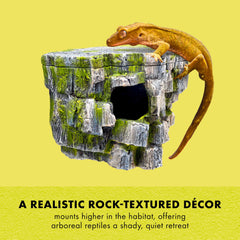 Zilla Rock Cave ventouses solides assurant fixation stable sur verre
