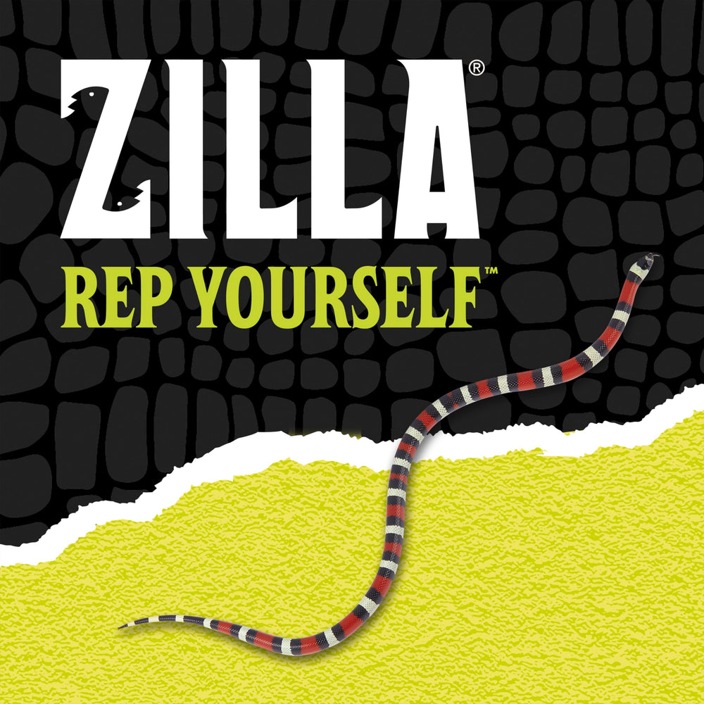 Zilla intégration du Rock Lair dans un terrarium bioactif naturel