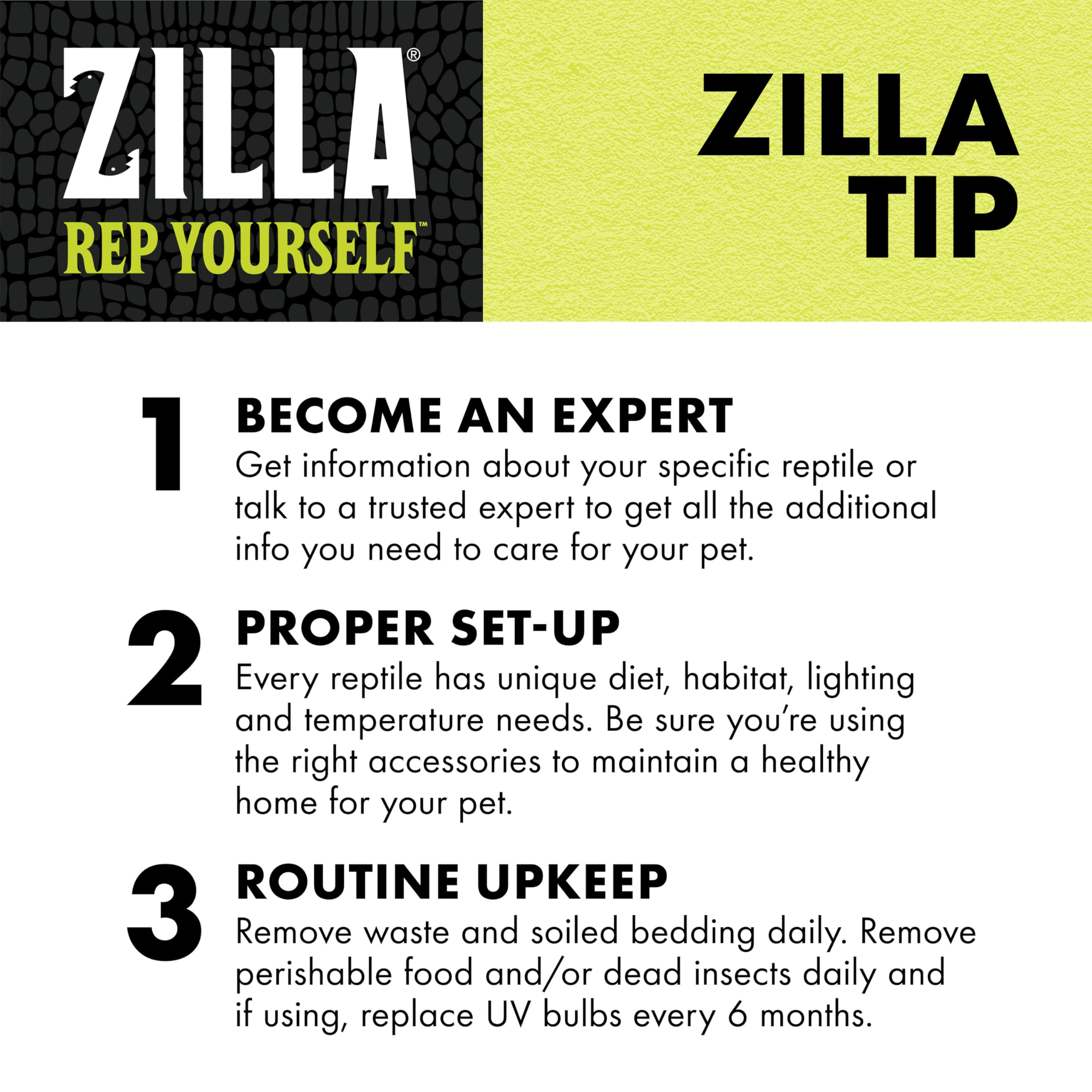 Zilla reptile installé à l’intérieur, refuge sombre et humide