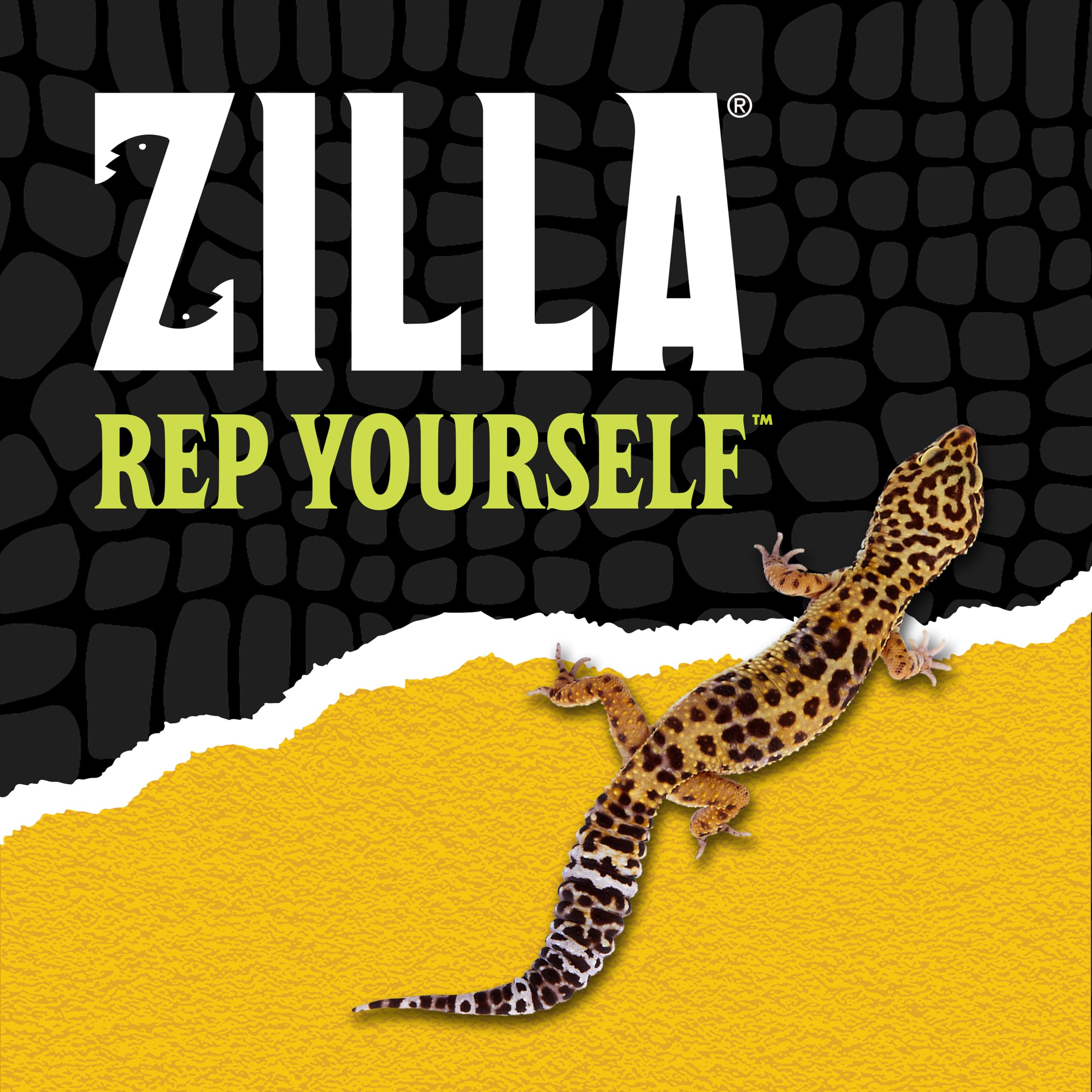 Zilla tapis intégré à un terrarium aménagé pour apparence naturelle