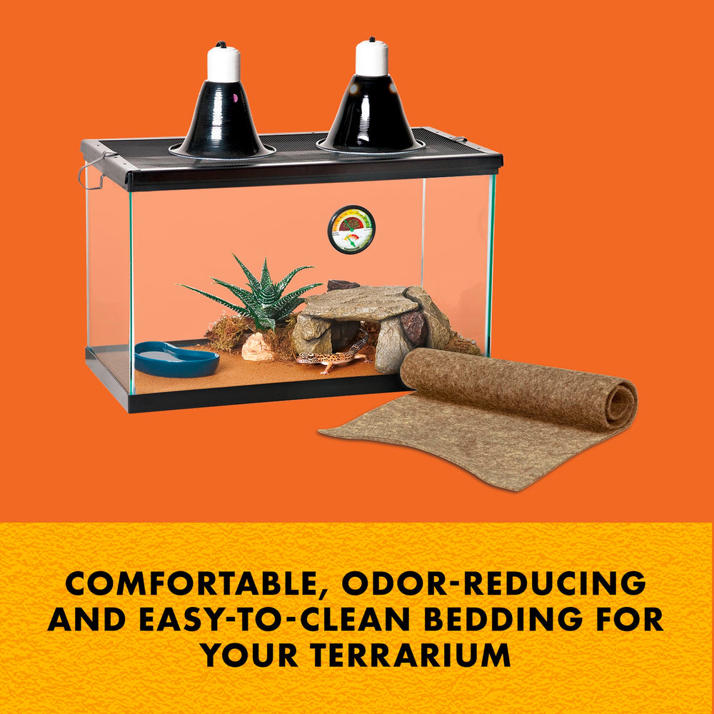 Zilla gros plan sur la texture douce du tapis offrant confort et protection