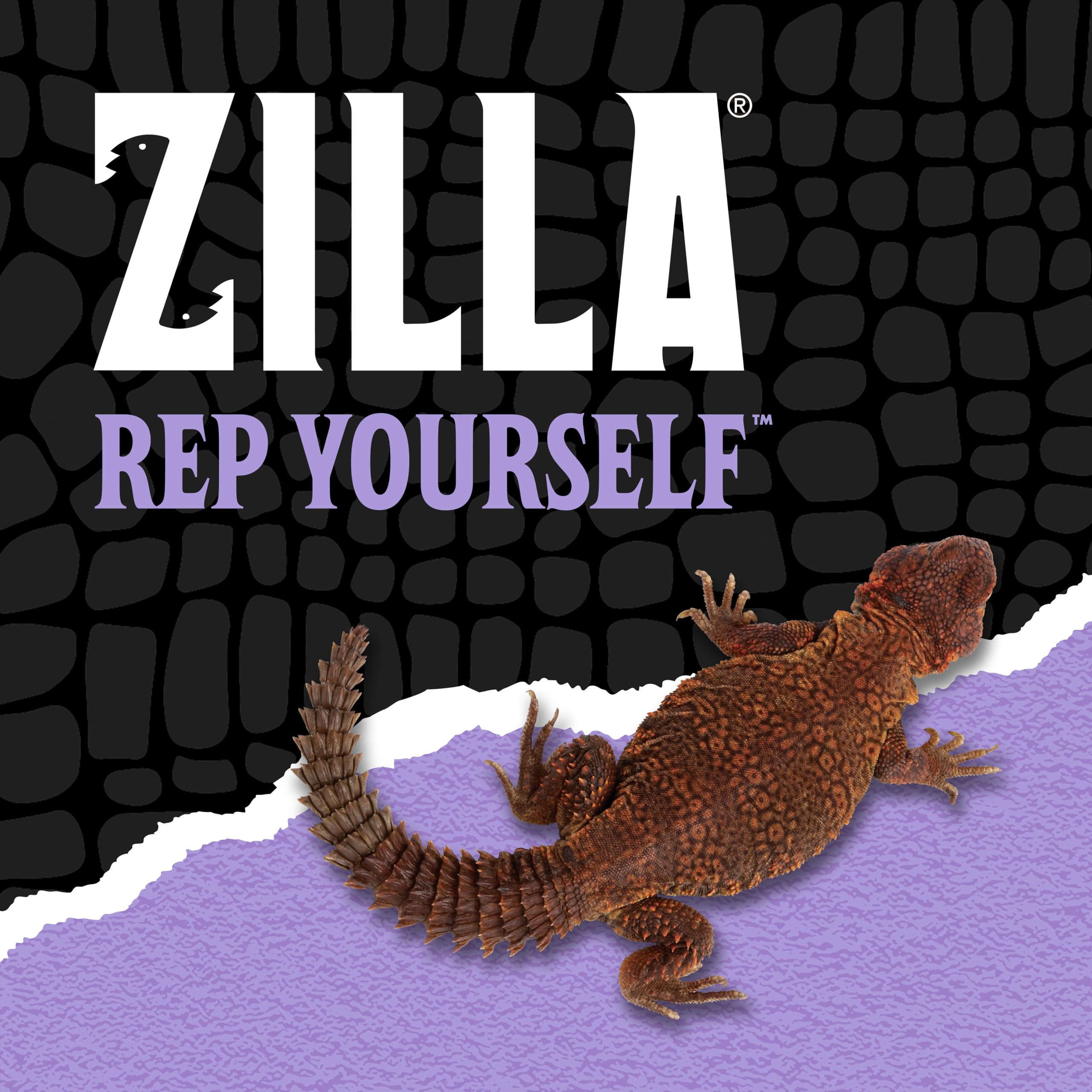 Zilla tortue approchant assiette, friandise riche en fibres
