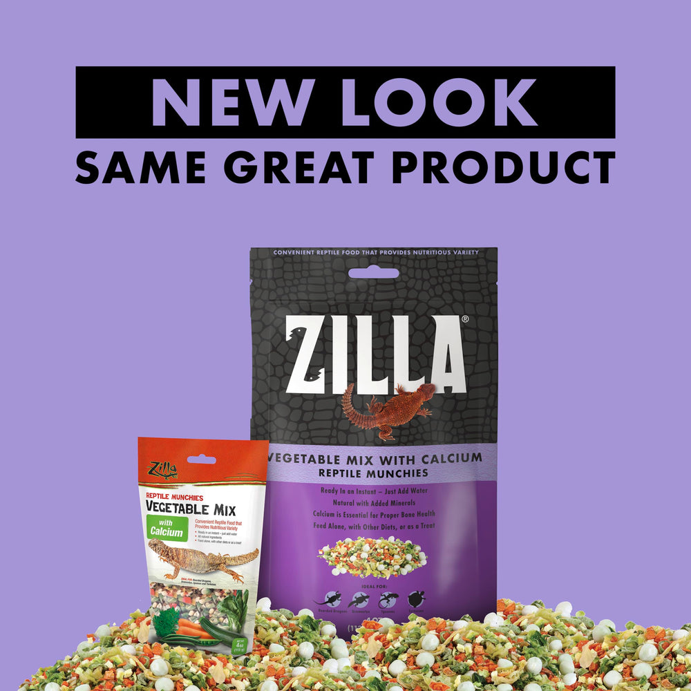 Zilla dragon barbu mangeant, acceptation alimentaire améliorée