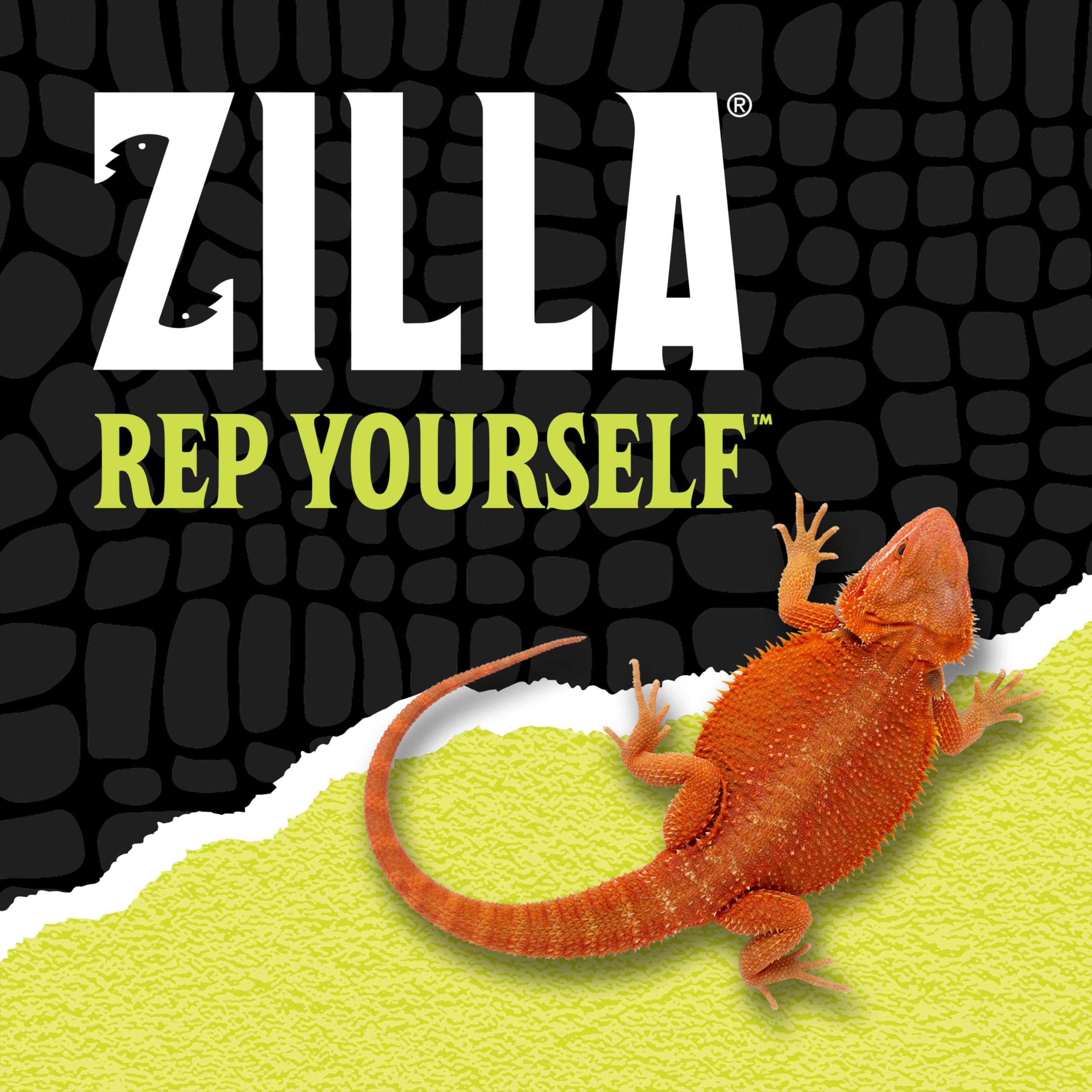 Zilla posé sur couvre-écran démontrant installation stable et pratique