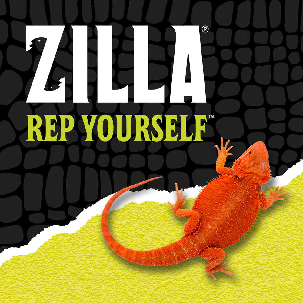 Zilla posé sur couvre-écran démontrant installation stable et pratique