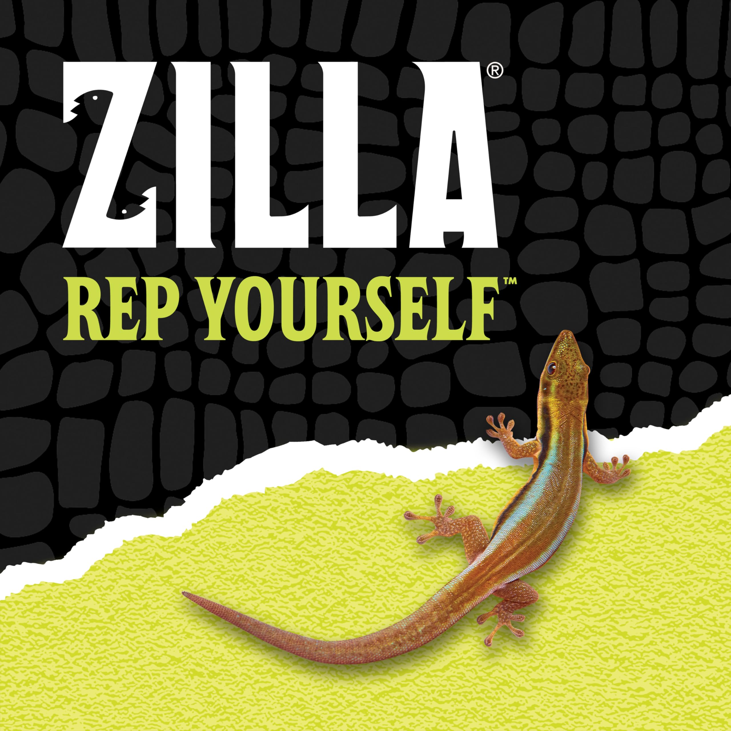 Zilla finition peinture noire anti-corrosion pour durabilité