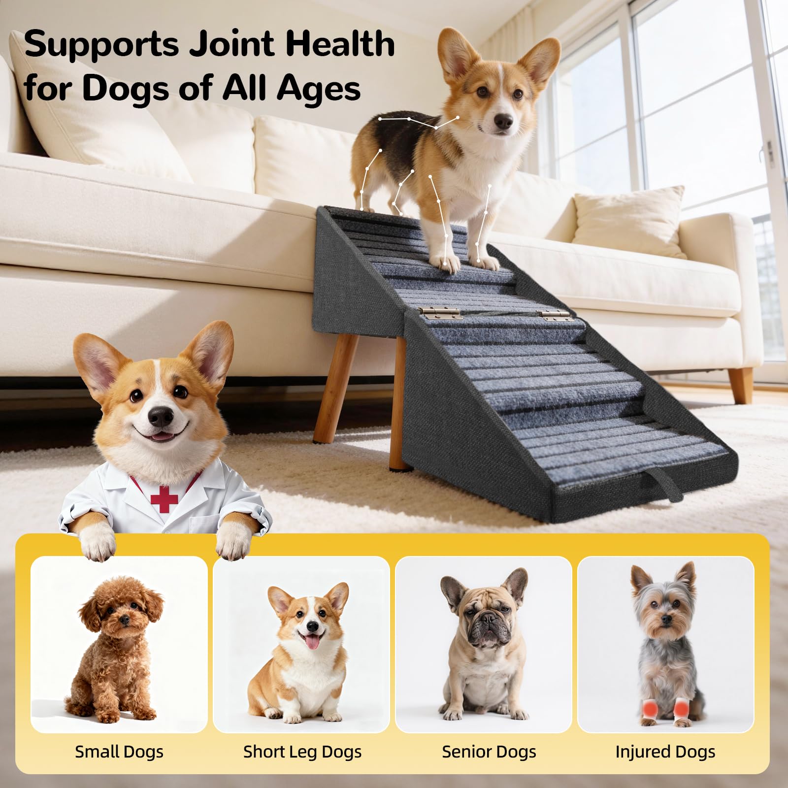 Ziluce comparaison taille avec petit chien affichant ergonomie
