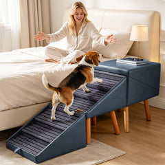 Ziluce escalier utilisé par chien facilitant montée stable
