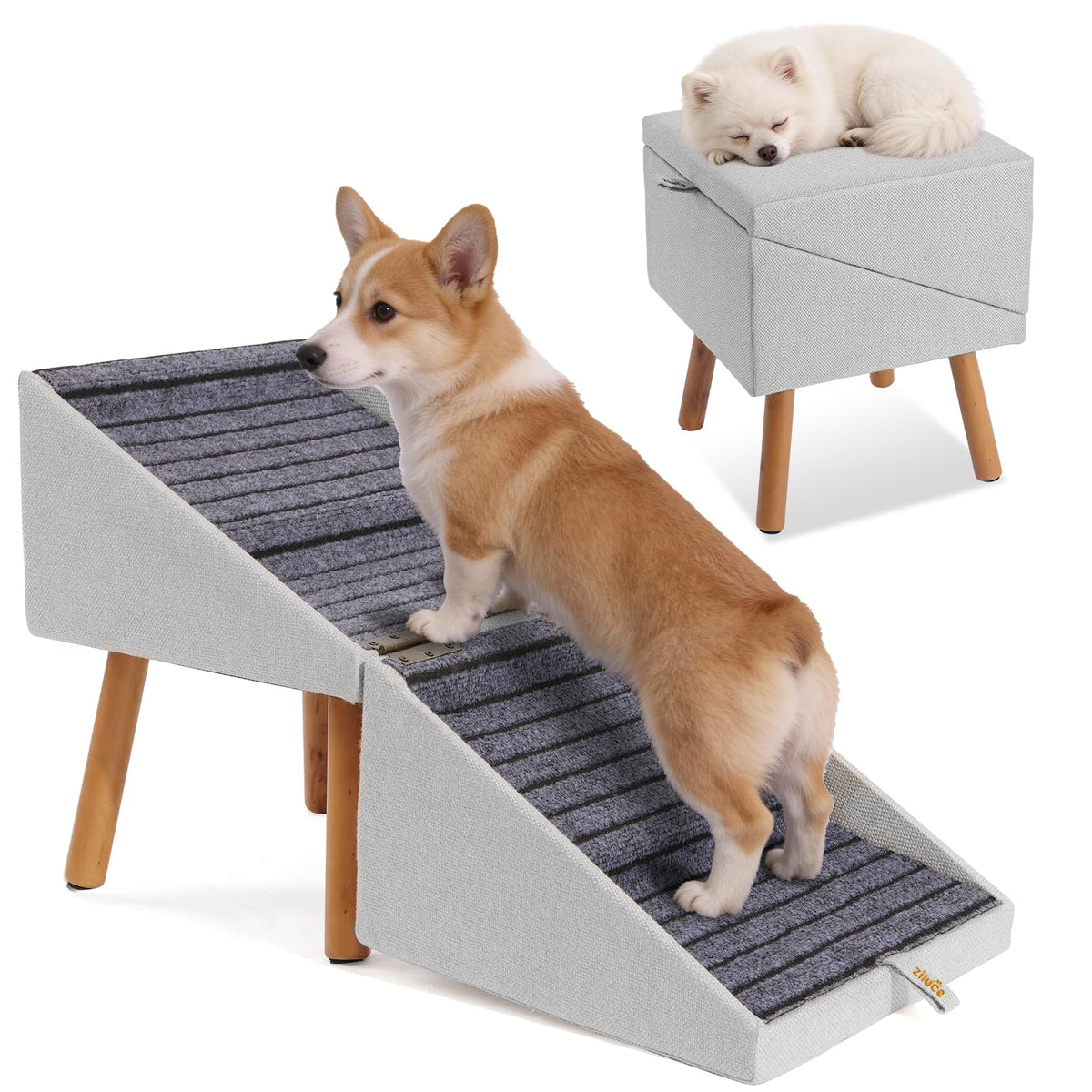 Ziluce escalier devant canapé montrant accès facile pour chien