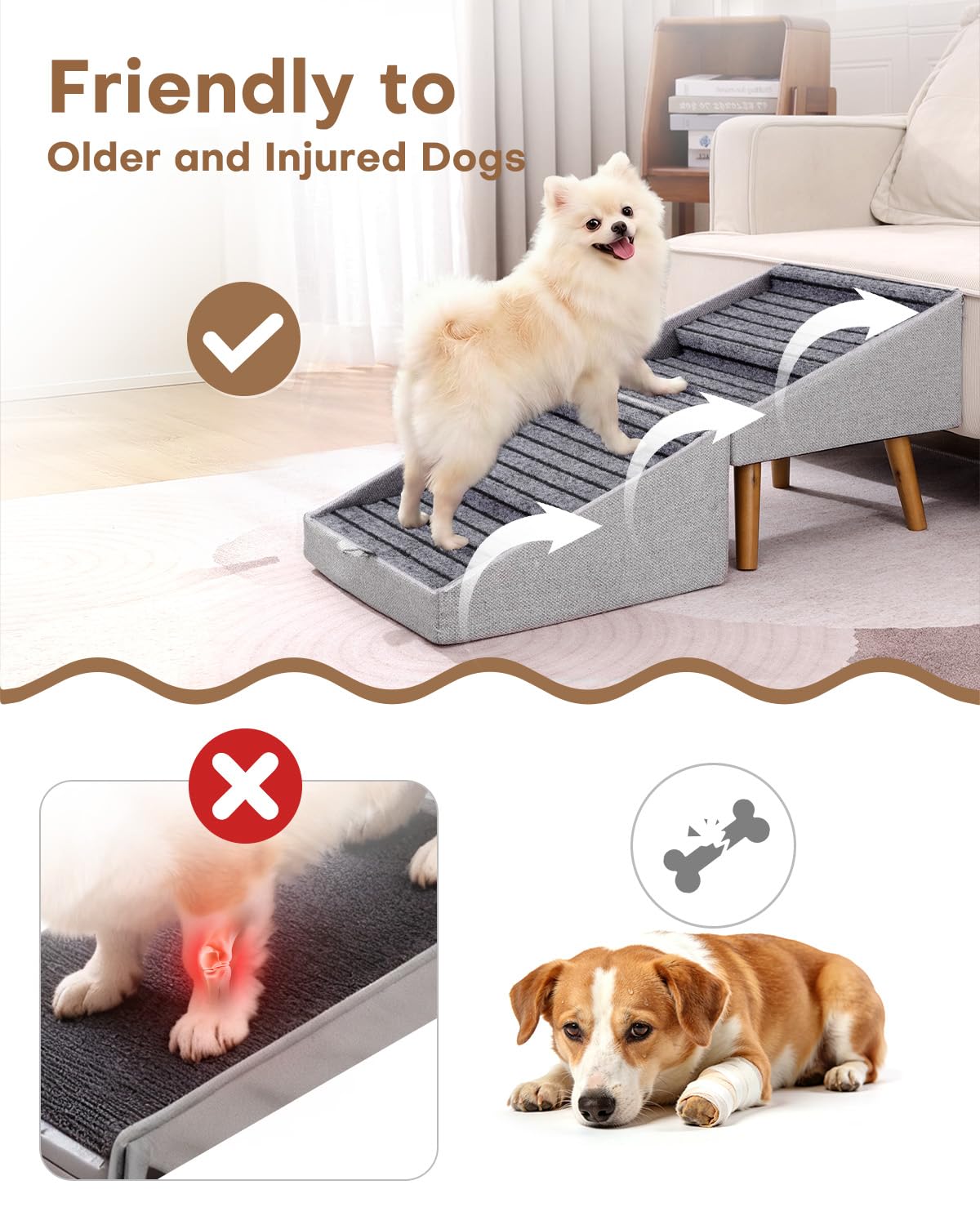 Ziluce usage canapé chien montant confort et confiance