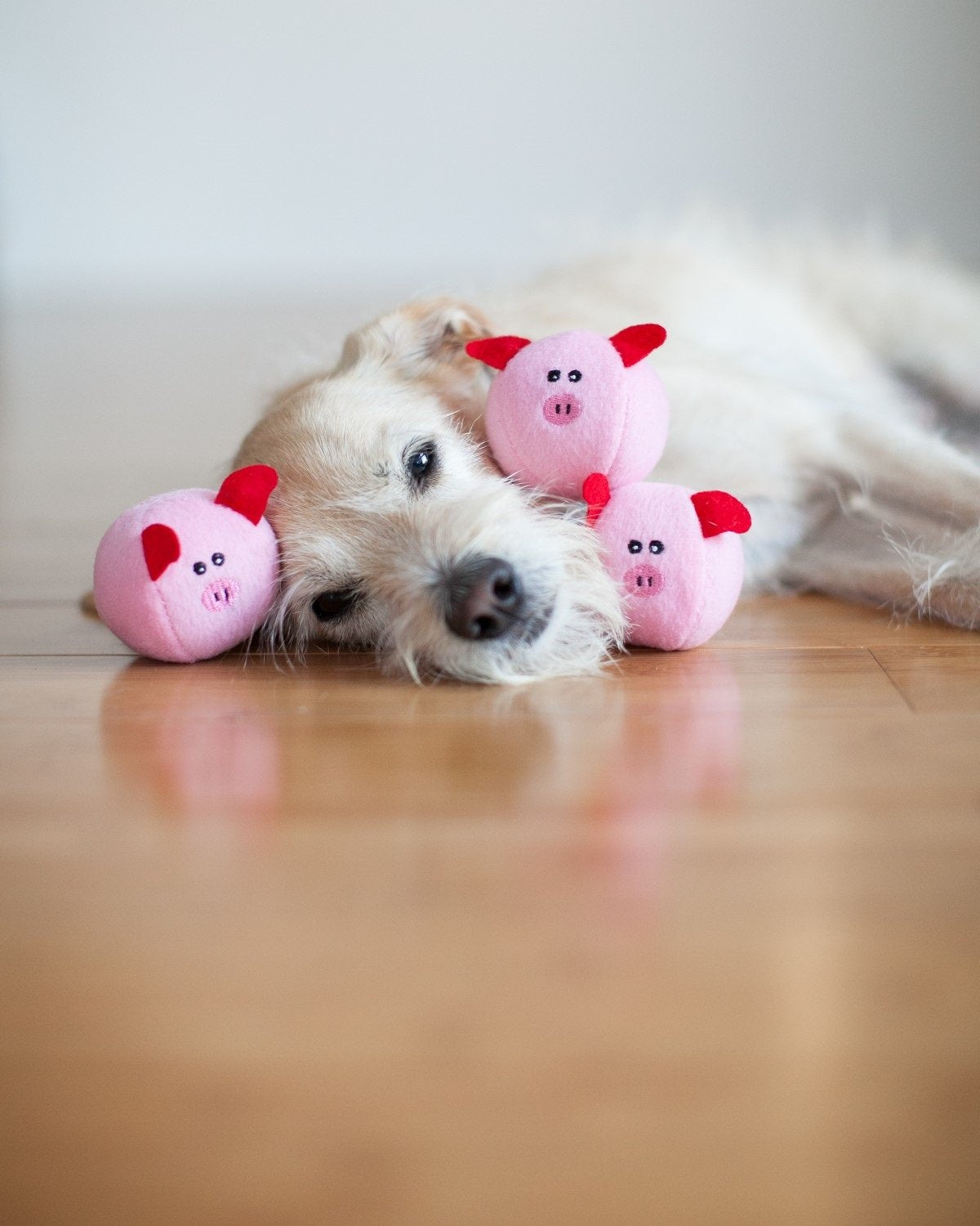 ZippyPaws intérieur ouvert du barn montrant espace pour insérer Miniz